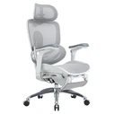 Sihoo Doro C300 Pro V2 Καρέκλα Γραφείου Ergonomic Off White με Υποπόδιο