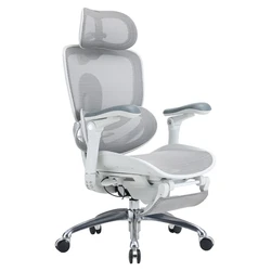 SIHOO Doro C300 Pro V2 Ergonomic Office Chair Off White (with Footrest)