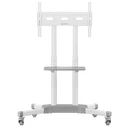 Βάση Τηλεόρασης Onkron Mobile Stand/32-65"/White Ts1351-W