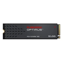 SANDISK WD Blue SN5100 1TB M.2 PCIe 4.0 NVMe SSD (SDSP51100TAN-000E0)