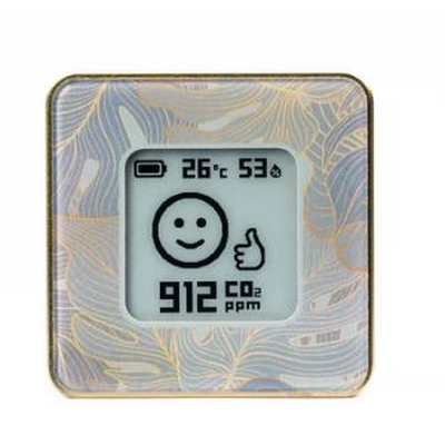 Product Αισθητήρας Airvalent Smart Home Air Quality Gold/Flor Airv-Flor base image