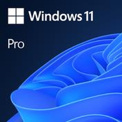 Product Software Microsoft Win 11 Pro Ggk 64Bit Intl 1Pk Oem English 4Yr-00316 base image