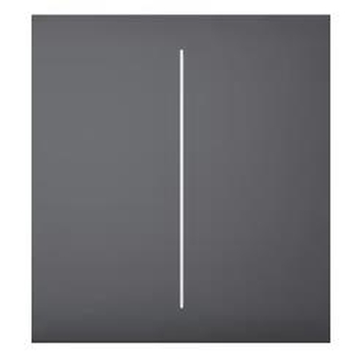 Product Smart Διακόπτης Ajax 2G/Graphite 46028 base image