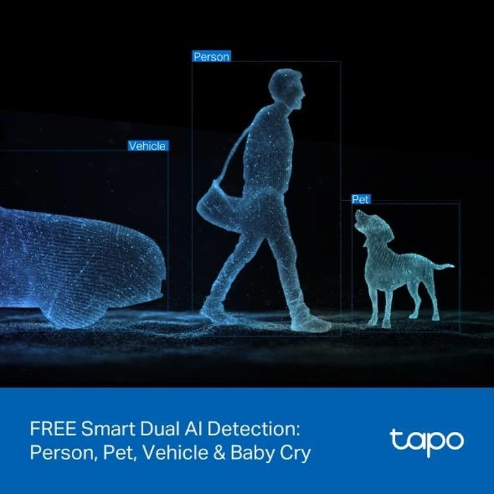 Κάμερα Παρακολούθησης TP-Link Wrl Pan Tilt Dual Tapo C245D