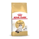 Ξηρά Τροφή Γάτας Royal Canin Ragdoll Adult 2 kg