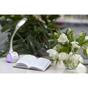 Φωτιστικό Γραφείου Activejet AJE-RAINBOW RGB LED with RGB lightning base