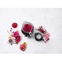 Μπλέντερ Pro ZWILLING Enfinigy 53001-001-0 black high-performance