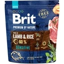 Τροφή Σκύλων Brit Premium by Nature Sensitive Lamb&Rice 1 kg