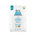 Ξηρά Τροφή Σκύλων Brit Care Grain-Free Junior Large salmon 3kg
