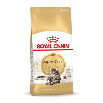 Product Ξηρά Τροφή Γάτας Royal Canin Maine Coon Adult 10 kg base image