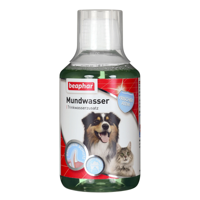 Product Στοματικό Διάλυμα Κατοικίδιων Beaphar mouth and tooth care lotion for dogs and cats 250ml base image