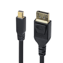 StarTech DisplayPort to mini DisplayPort Cable 1.4 3 m