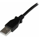 StarTech USB 2.0 Cable USB-A male - USB-B male Μαύρο 2m (USBAB2MR)