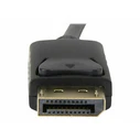 StarTech Cable DisplayPort male - HDMI male 1m (DP2HDMM1MB)