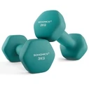 SONGMICS Dumbbells Set of 2 Dumbbells 3 kg Turquoise Green
