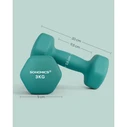 SONGMICS Dumbbells Set of 2 Dumbbells 3 kg Turquoise Green