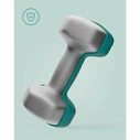 SONGMICS Dumbbells Set of 2 Dumbbells 3 kg Turquoise Green