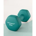 SONGMICS Dumbbells Set of 2 Dumbbells 3 kg Turquoise Green