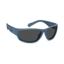 Polaroid Ανδρικά Γυαλιά Ηλίου με Μπλε Κοκκάλινο Σκελετό PLD2166/S FLL/M9