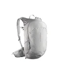 Salomon Trailblazer 20L Waterproof Daypack - Silver