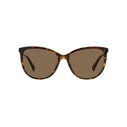 Polaroid Γυναικεία Γυαλιά Ηλίου με Καφέ Ταρταρούγα Κοκκάλινο Σκελετό και Καφέ Polarized Φακό PLD4138/S 086/SP