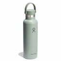 Hydro Flask Standard Mouth 21 oz (621 ml) Vacuum Insulated Bottle with Flex Straw Cap - Agave
