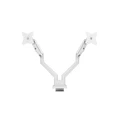 Arozzi Alzare Neo Duo Dual Monitor Arm 17"-32" (supports up to 34") White