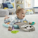 Fisher-Price Musical Sloth Tummy Wedge Pillow with Vibration GRR01
