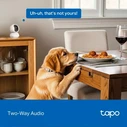 TP-Link 4K 8MP Pan/Tilt AI Home Security Wi-Fi Camera (TAPO C250) (TPC250)