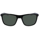 Nike Men's Essential Sunglasses Black Frame Black Lens EV1122-011