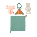 Baby Toy Fisher Price So Many Senses Gift Set HRB17