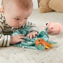 Baby Toy Fisher Price So Many Senses Gift Set HRB17