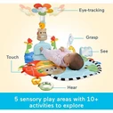 Fisher Price 3 in 1 Kick Sway Activity Gym