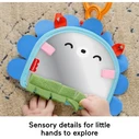 Fisher Price Classic Baby Toys Προϊόν Προς Στήριξη Καθρεφτάκι Σκαντζόχοιρος