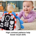 Fisher Price Classic Baby Toys Προϊόν Προς Στήριξη Καθρεφτάκι Σκαντζόχοιρος