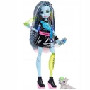 Mattel Monster High Κούκλα Frankie Stein Basic Series New Design
