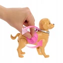 Mattel Barbie Malibu - Βόλτα με το Σκυλάκι