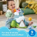 Baby Toy Fisher Price Friendship Forest Ball Mountain