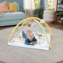 Fisher Price Simple Senses Νεογέννητο Γυμναστήριο