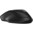 HP 255 Wireless Bluetooth Mouse Black