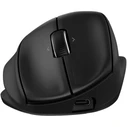 HP BH0Z5AA Wireless Mouse Black (Tilt Ergonomic 725M)
