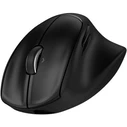 HP BH0Z5AA Wireless Mouse Black (Tilt Ergonomic 725M)
