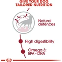 Royal Canin Medium Adult 4kg Dry Food for Adult Medium Breed Dogs with Poultry