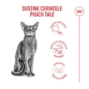 Royal Canin Exigent Ξηρά Τροφή Γάτας 2kg
