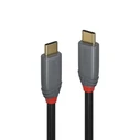 Lindy USB-C Cable USB 3.2 (Type-C to Type-C) 3 m 100W PD Anthra Line