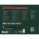 Faber Castell Artist Pencil Set FC210052 Polychromos and Pitt Graphite Matte
