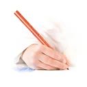 STAEDTLER Noris triplus Jumbo Σετ 12 τρίγωνα ξυλομπογιές (10+2)