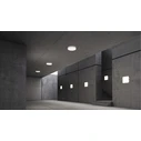 Steinel INNENLEUCHTE RS PRO R10 BASIC SC NW - Indoor LED ceiling/surface luminaire (white, Neutral White)