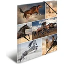 HERMA Sammelmappe A4 Pferde - Cardboard A4 Folder with Elastic (Horses)