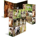 HERMA A4 Binder - Bauernhoftiere (Farm Animals)